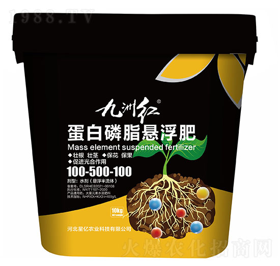 ���ݼt������֬�Ҹ���100-500-100-�ǃ|�r(n��ng)�I(y��)