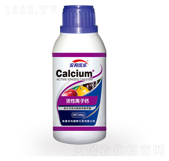 �����x���}-������(y��u)��(l��)-�֠�