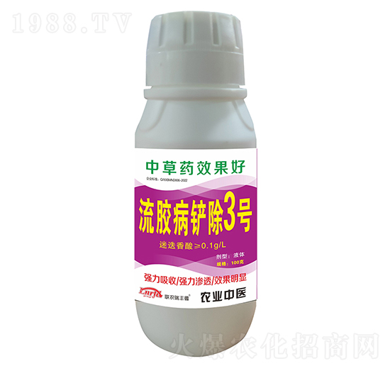 ���z���P��3̖-�r���S��