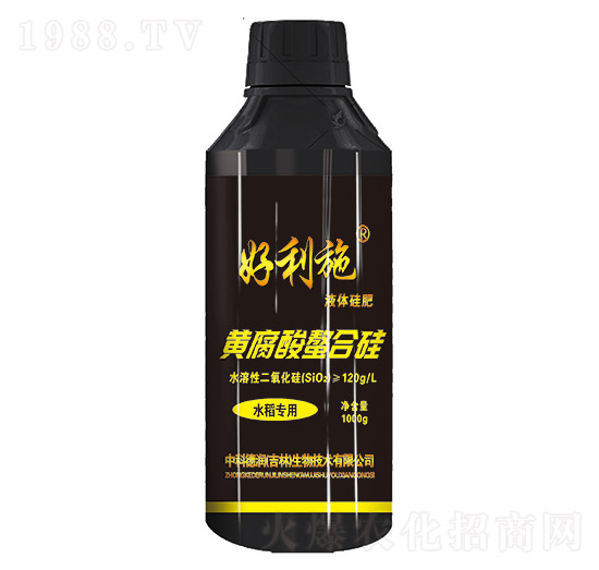 �S�������Ϲ�-��(r��n)�ʘI(y��)