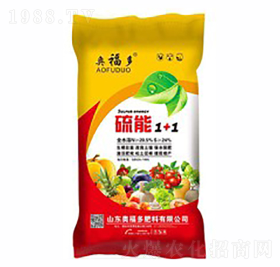 ����1+1-������