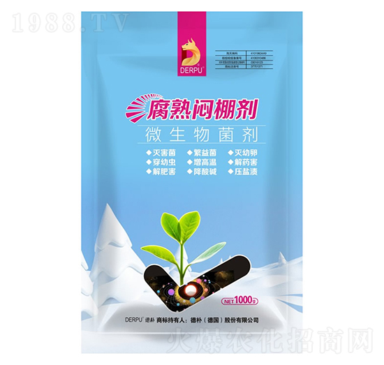 ���쐞�-��