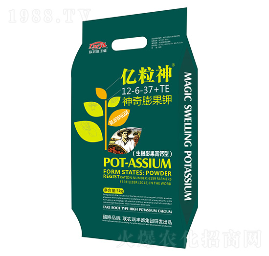 �������⛣�����������}�ͣ�12-6-37+TE-�|����-(li��n)�r(n��ng)���S��