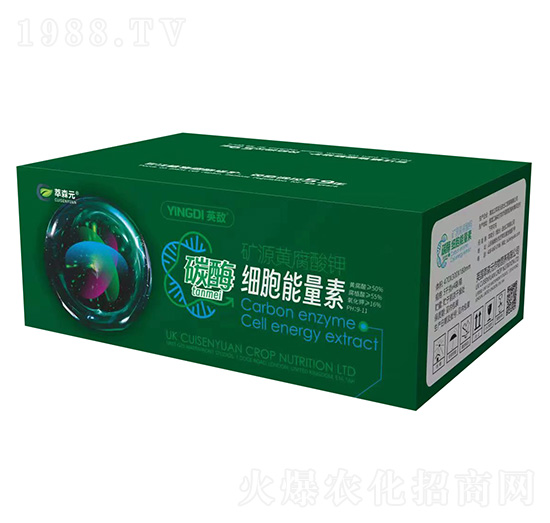 ̼ø��(x��)�������أ��䣩-Ӣ��-��ɭԪ