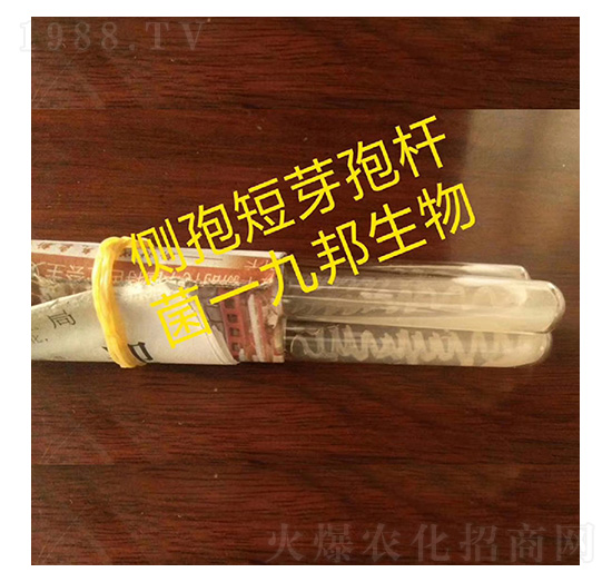 ��(c��)��ѿ�ߗU��-б��ԇ�ܾ�-�Ű�����