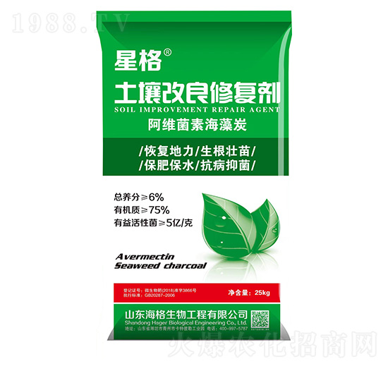 ���������ޏ�(f��)��-�Ǹ�-��������