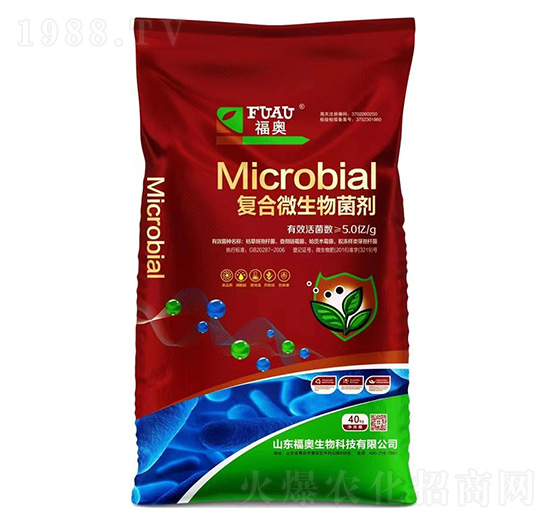 �ͺ�΢�������-���W