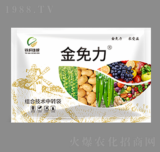 �ײͷ�-������-�F�U�۸�