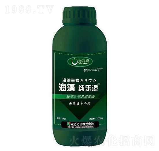 ���往���m-������