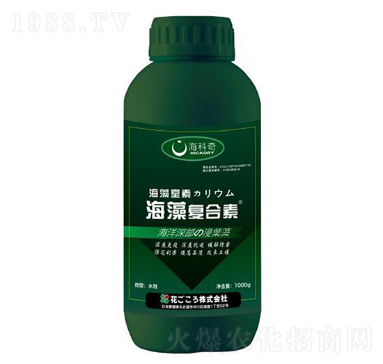 �����(f��)����-������