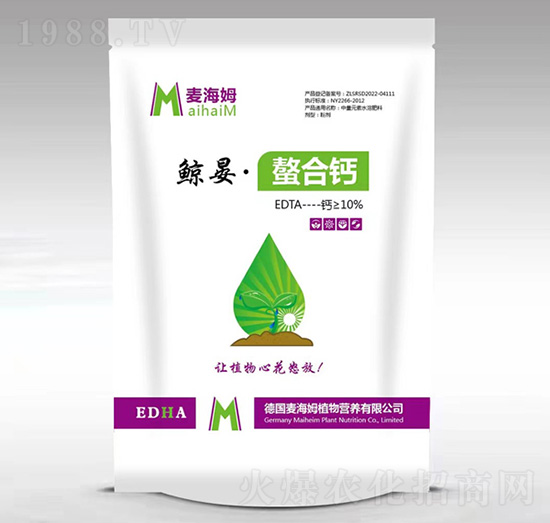 �L�̡������}-����ķ