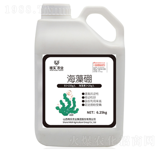 ������-Ψ��