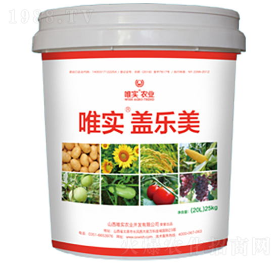 Ψ�����w����