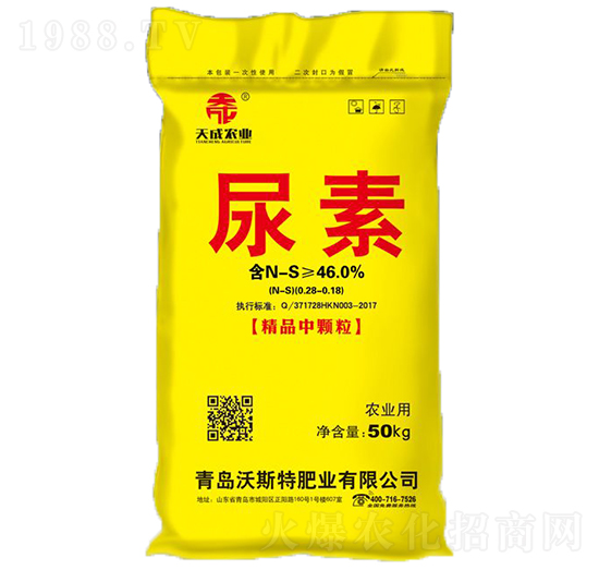 ����-���-��˹��