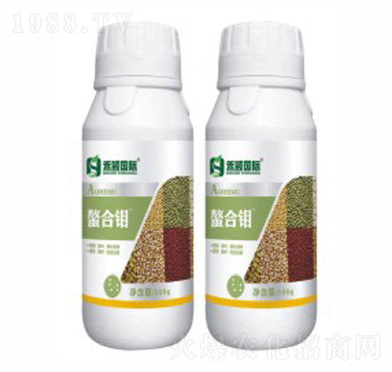 �����fMo-�̷f����