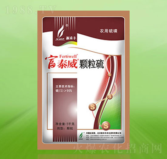 �w����-��̩��-�º��S