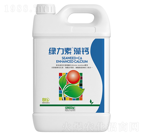 �G�������}-�����ط�