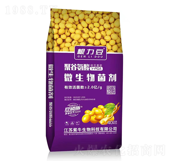 �۹Ȱ���΢�������-������-���r�r�Y