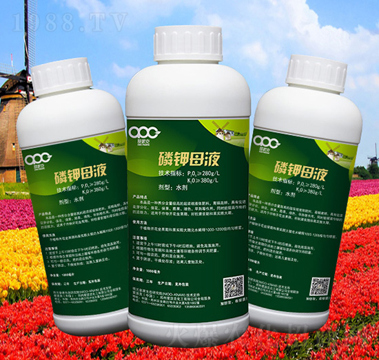 ���ĸҺ-��(��i)�ɿ�