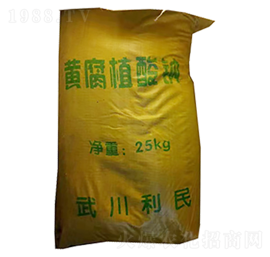 �S��ֲ���c-���r�ʘI(y��)