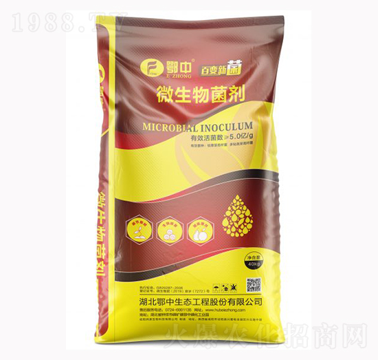 5�|΢�������-����