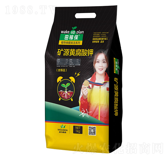 �VԴ�S�����-��ڱ�