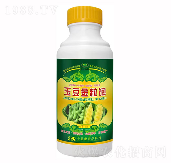 �񶹽����-�����S-���Π�