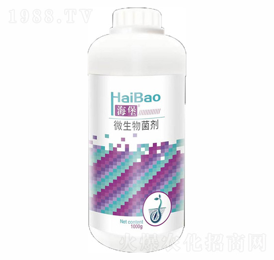 1000g΢�������-����-����(r��n)��