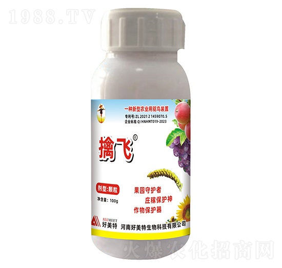 100g���w�(q��)�B�����w����-������