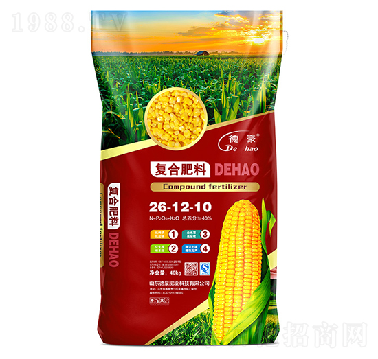 �ͺϷ���26-12-10-�º��ʘI(y��)