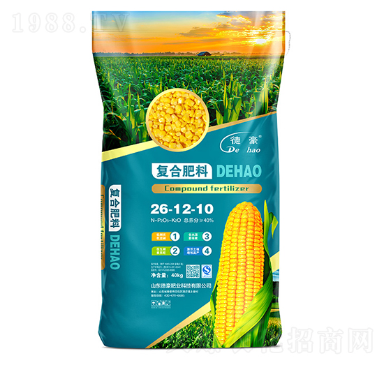 ���׌��Ï�(f��)�Ϸ���26-12-10-�º��ʘI(y��)