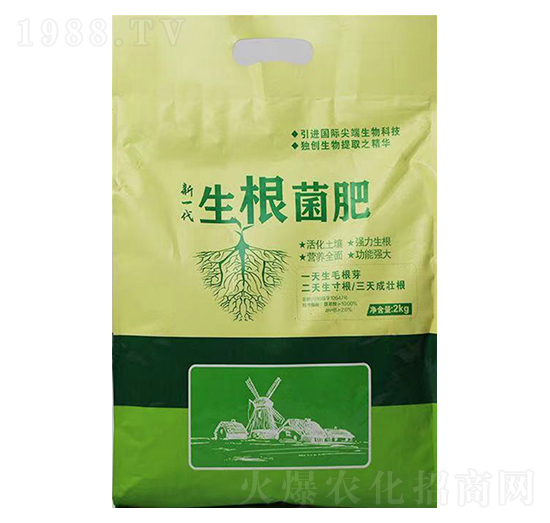 2kg��������-���_(d��)����