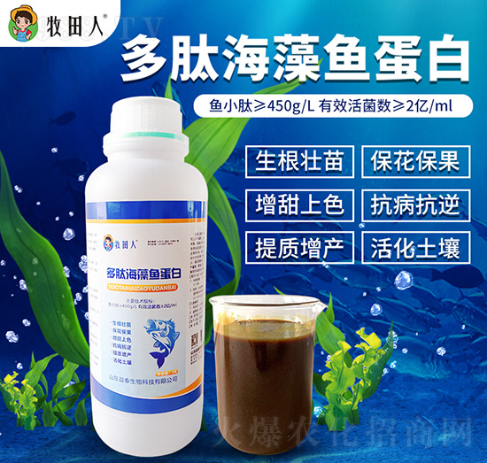 ���ĺ����~����-������