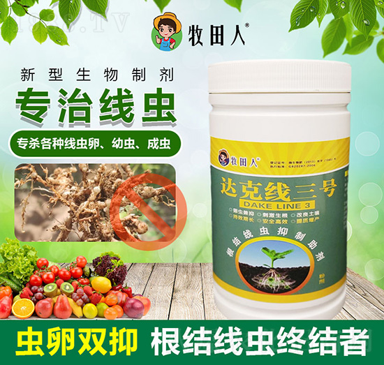 �_(d��)�˾���̖-������