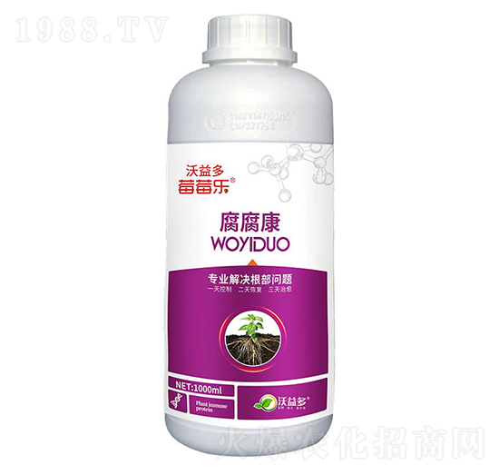 ������-ݮݮ��-�����