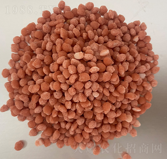 �����@����ɫ�w����-�����r�I(y��)