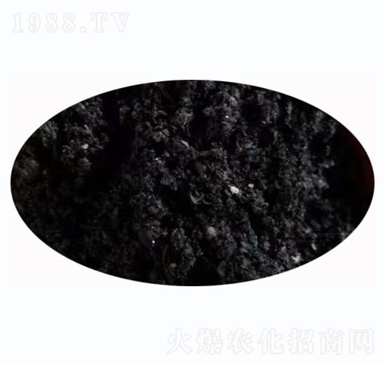 ��̿��-�t�ķ�