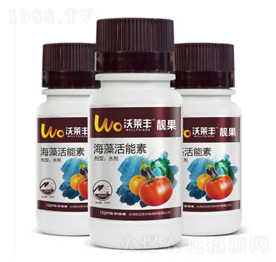 �n��-���R�S-�W�~˼�r(n��ng)�I(y��)