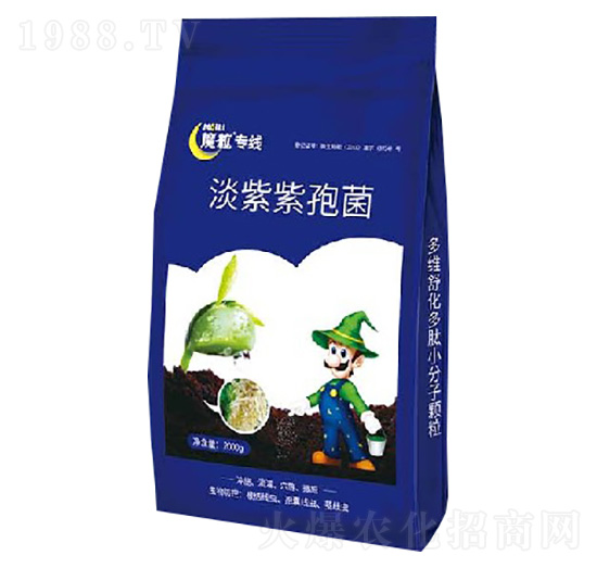 �������߾�-ħ������-ħ������