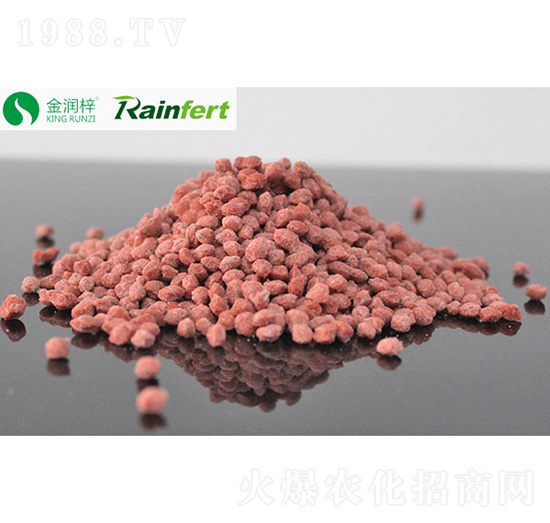 �����V�t�w��-����