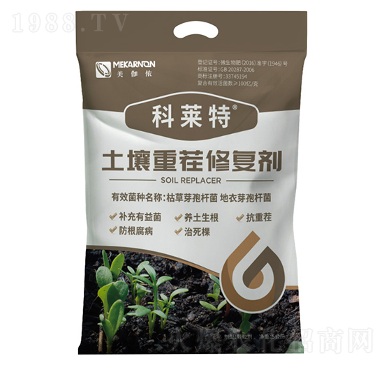 �����ز��ޏ�(f��)��-���R��-��٤�z