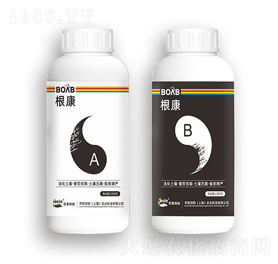 ΢�������-����A+B-�ڶ����