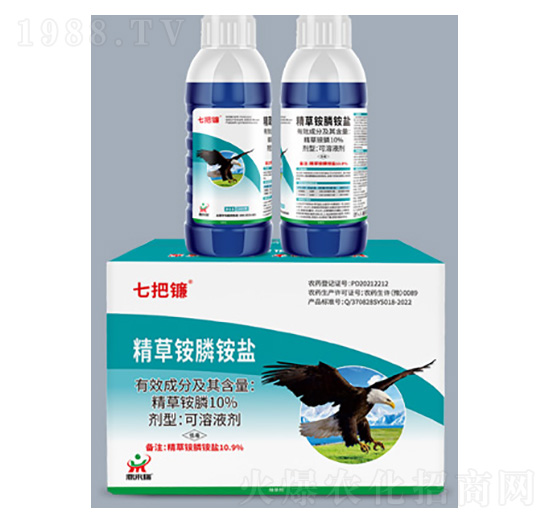 10%�����@��@�}-�߰��-������