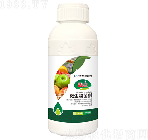 �n�c΢�������-�W����