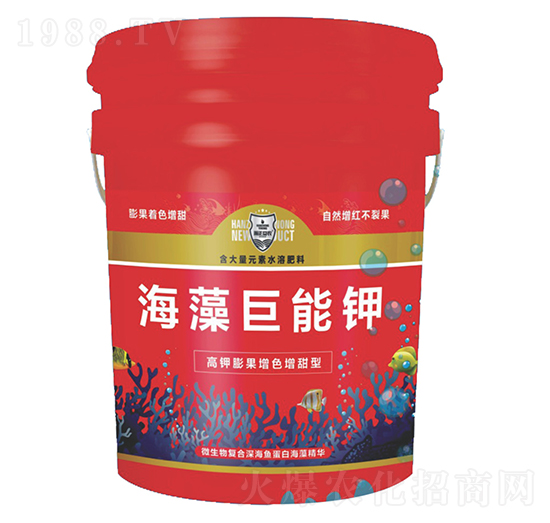 ��������-������r