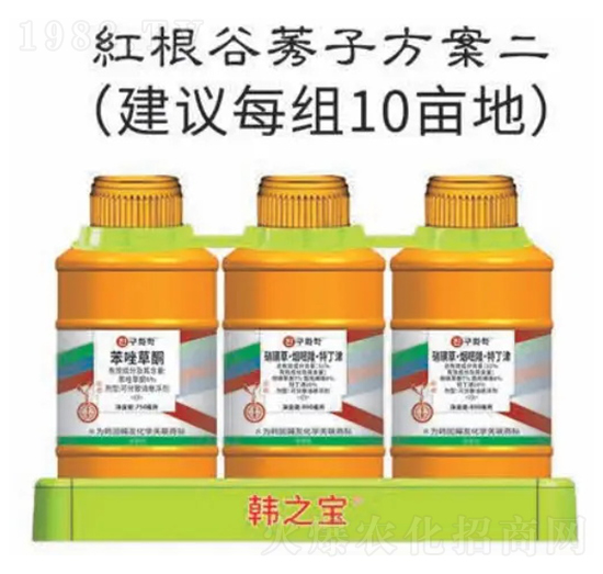 �t����ݬ�ӷ���-�n֮��-�n�ѻ��W(xu��)