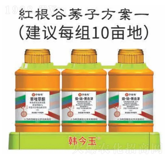 �t����ݬ�ӷ���-�n����-�n�ѻ��W(xu��)