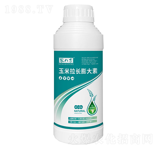 �������L(zh��ng)�����-�r(n��ng)�˷�