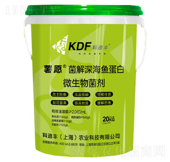 ������~����΢�������-��Ը-�Ƶ��S