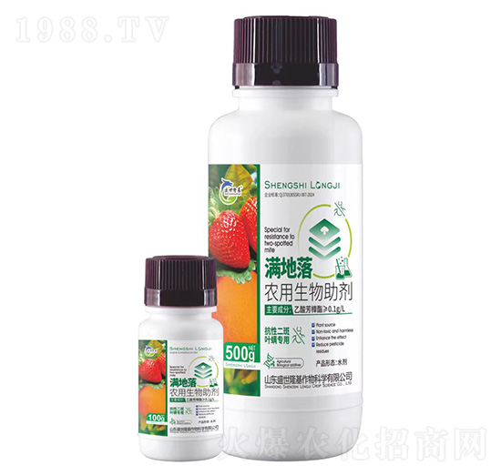 �M����-�r����������-ʢ��¡��